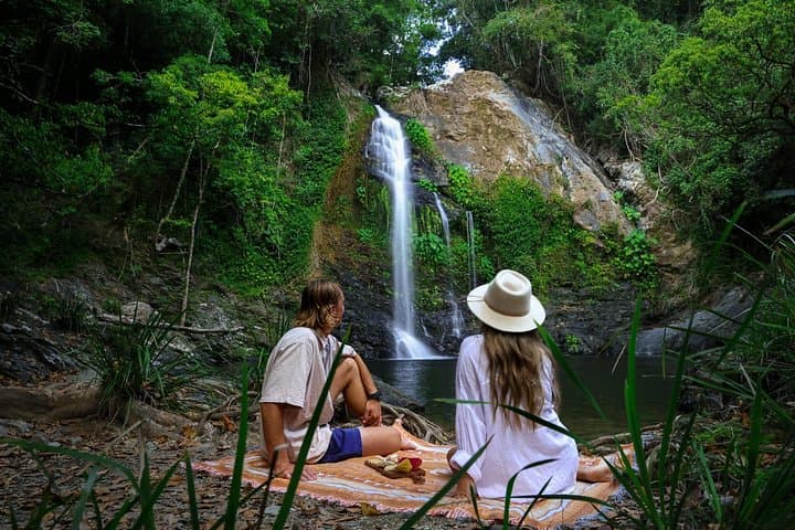 Daintree Sensations: Rainforest-to-Plate Food Tour from Port Douglas
