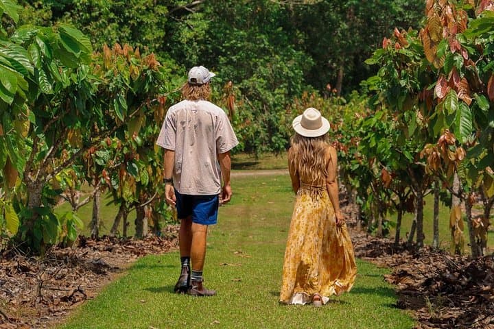 Daintree Sensations: Rainforest-to-Plate Food Tour from Port Douglas photo 2