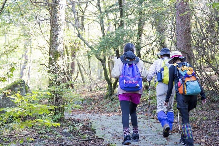 Trek Takachiho Peak: Active-Volcano Hike on Mt. Shinmoedake in Kirishima photo 5