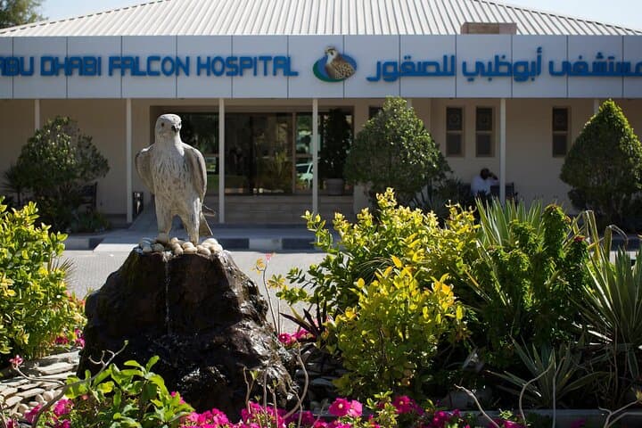 Inside Abu Dhabi Falcon Hospital: Behind-the-Scenes Falconry Care & Cultural Experience photo 4
