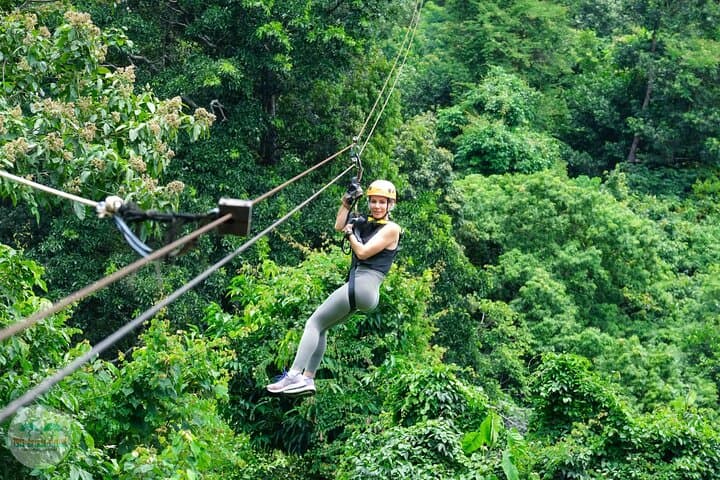 Tree Bridge Cafe and Zipline: Jungle Flight Over Tan Rua Waterfall in Koh Samui