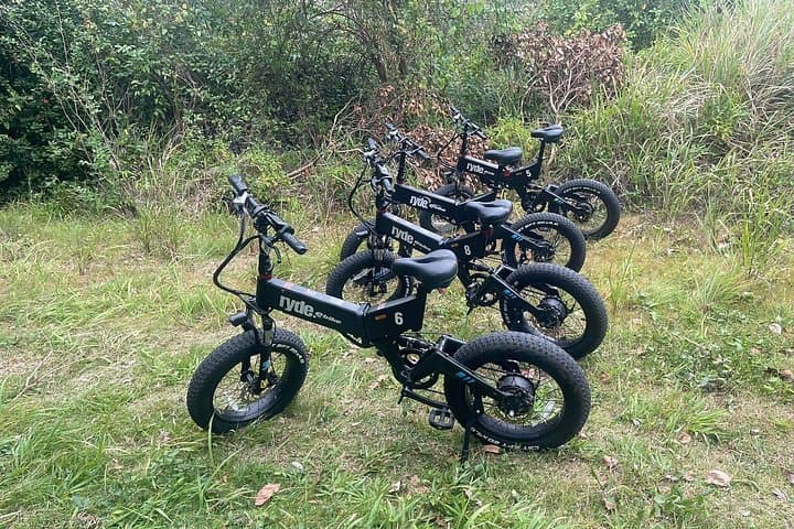 Ryde E-Bike Tour Grenada — Coastal Routes to Lance Aux Epines Lookout photo 4