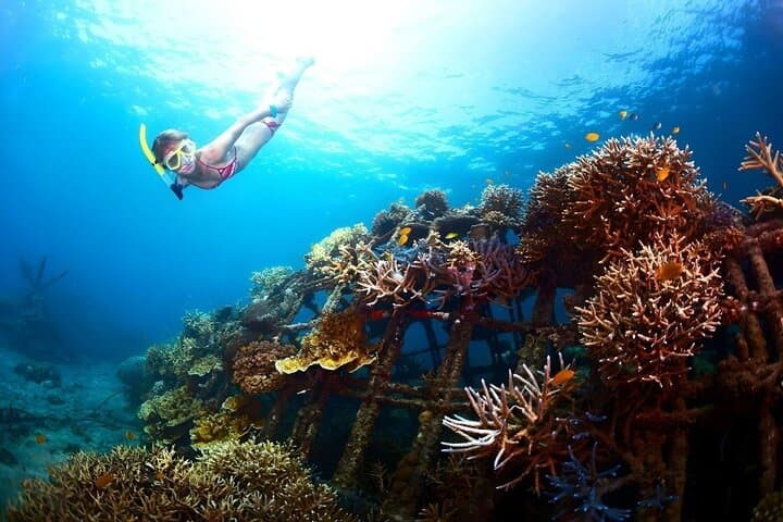 Blue Lagoon Bali: Private Snorkeling Day Trip from Padangbai with Lunch photo 6