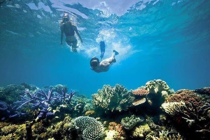 Blue Lagoon Bali: Private Snorkeling Day Trip from Padangbai with Lunch photo 3