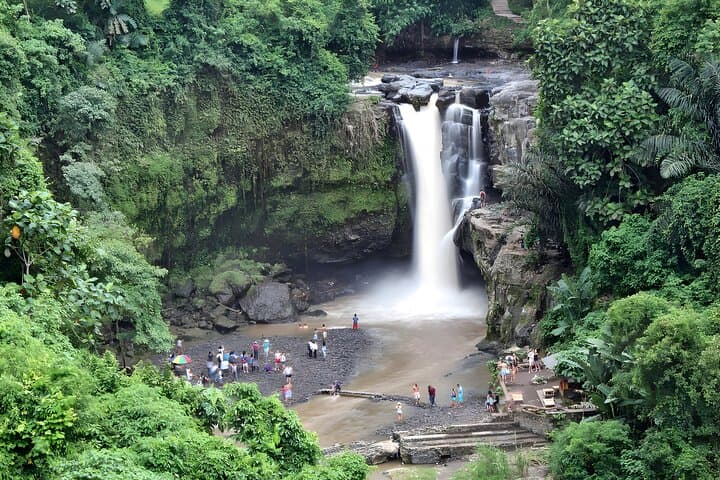 Bali Swing & Ubud Cultural Highlights: Swing, Monkeys and Rice Terraces photo 2