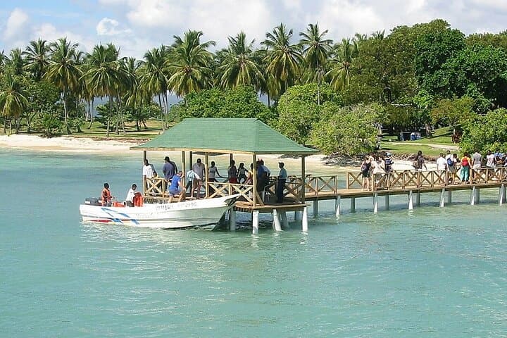 Bacardi Island & Samaná Bay Whale Watching: Full-Day Trip to Cayo Levantado photo 5
