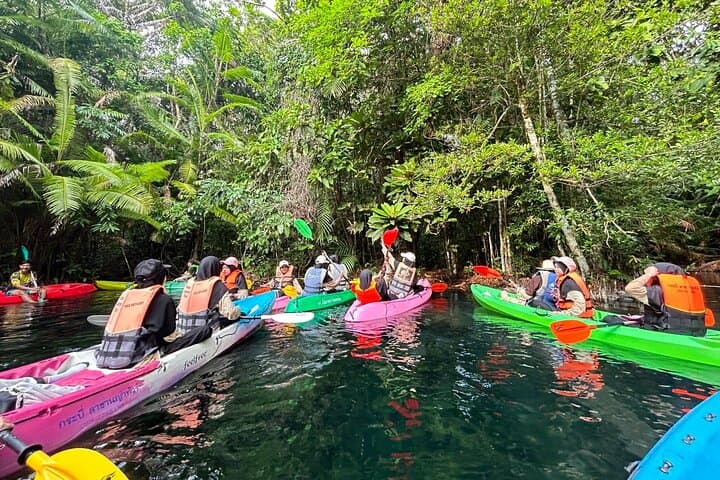 Klong Root Jurassic World Kayaking & Swimming — Krabi Emerald Lagoon Day Tour photo 4