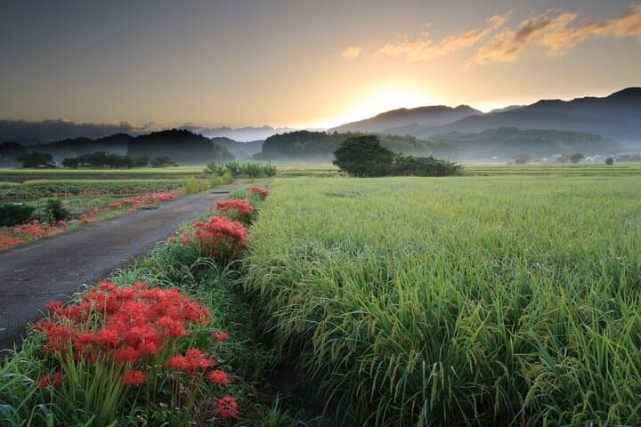 Hidden Asuka Village: 2-Day Private Immersion in Nara's Ancient Heart