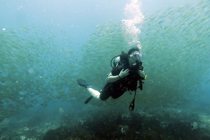 Full-Day Scuba Diving to Koh Tao & Chumphon Pinnacle from Koh Samui