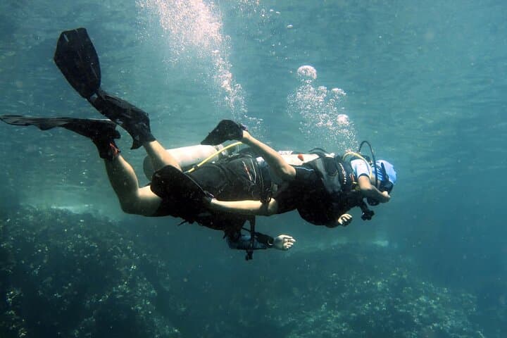 Full-Day Scuba Diving to Koh Tao & Chumphon Pinnacle from Koh Samui photo 2