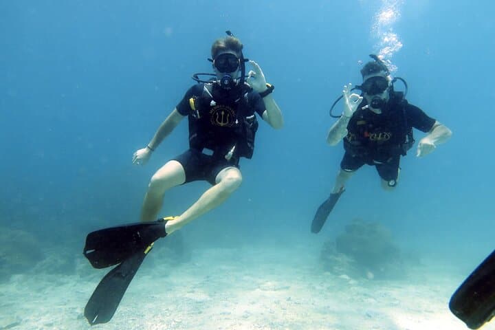 Full-Day Scuba Diving to Koh Tao & Chumphon Pinnacle from Koh Samui photo 3