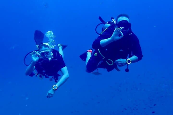 Full-Day Scuba Diving to Koh Tao & Chumphon Pinnacle from Koh Samui photo 4