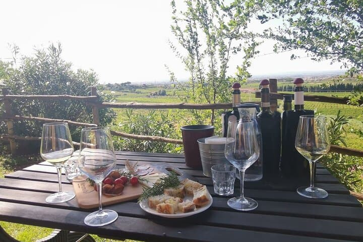 Frascati Wine & Olive Oil Tasting: 2-Hour Vineyard Tour from Rome