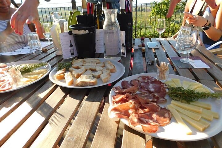 Frascati Wine & Olive Oil Tasting: 2-Hour Vineyard Tour from Rome photo 2