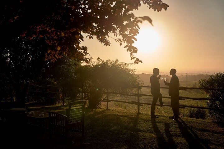 Frascati Wine & Olive Oil Tasting: 2-Hour Vineyard Tour from Rome photo 5