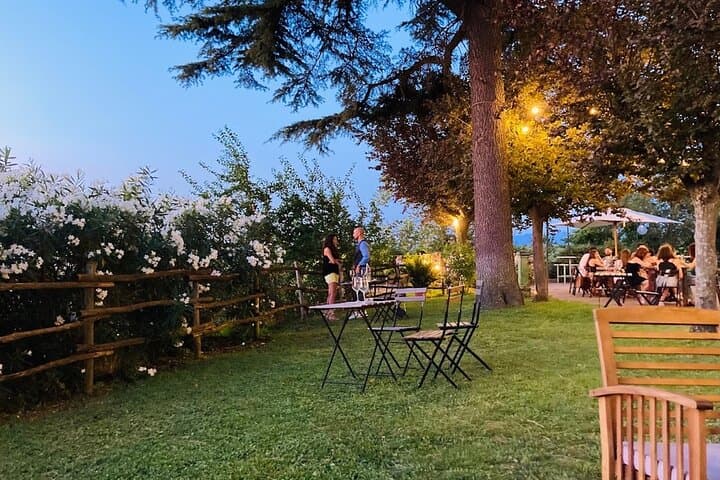 Frascati Wine & Olive Oil Tasting: 2-Hour Vineyard Tour from Rome photo 6