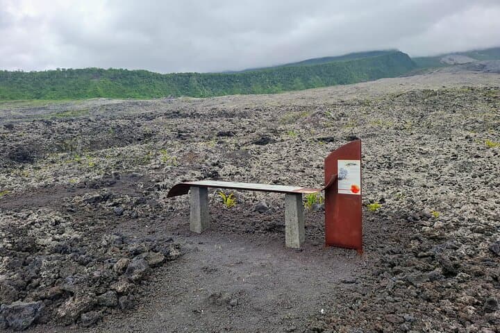 Wild South Réunion Private Driver Tour: Grande Anse, Langevin & Lava Flows photo 3