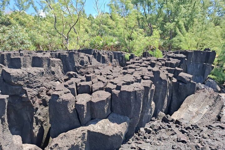 Wild South Réunion Private Driver Tour: Grande Anse, Langevin & Lava Flows photo 5
