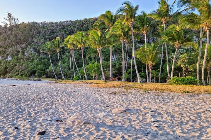 Wild South Réunion Private Driver Tour: Grande Anse, Langevin & Lava Flows photo 4