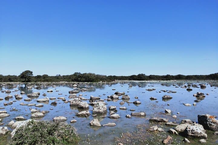Explore Su Nuraxi di Barumini and the Giara of Gesturi: UNESCO Nuraghe & Wild Horses Day Tour photo 4