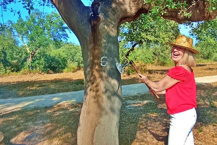 Cork and Prickly Pear Tour: Private Pepe Aromas Walk & Bike in Alentejo photo 5