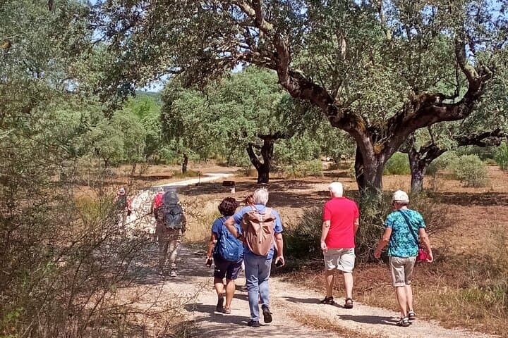 Cork and Prickly Pear Tour: Private Pepe Aromas Walk & Bike in Alentejo photo 6