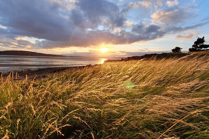 Edinburgh Coastline & Rosslyn Chapel: North Berwick Seabirds, Saltire Origins and Distillery Options photo 3
