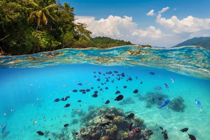 Blue Lagoon Snorkeling Bali: All-Inclusive Padang Bai Tour to Tanjung Jepun photo 3