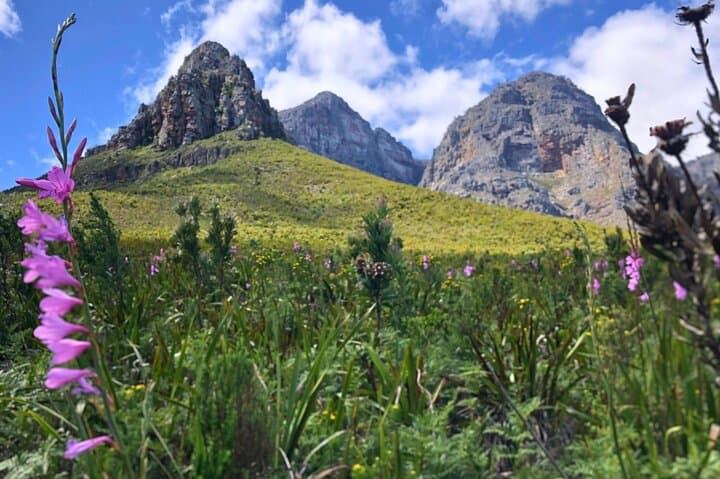 Banhoek Waterfall Hike from Stellenbosch: Morning Trek in Banhoek Conservancy