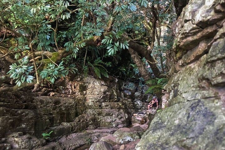 Banhoek Waterfall Hike from Stellenbosch: Morning Trek in Banhoek Conservancy photo 3