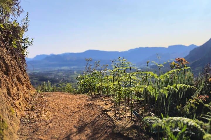 Banhoek Waterfall Hike from Stellenbosch: Morning Trek in Banhoek Conservancy photo 5