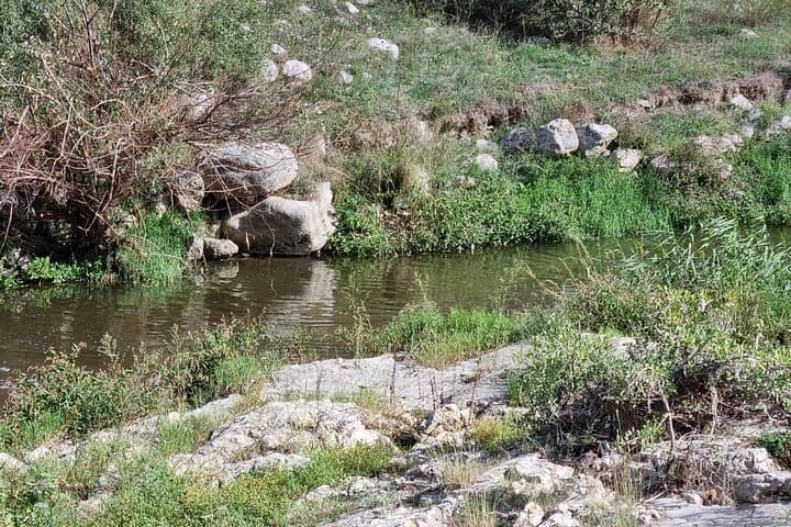 Matera Trek: Sassi to Murgia via the Tibetan Bridge photo 5