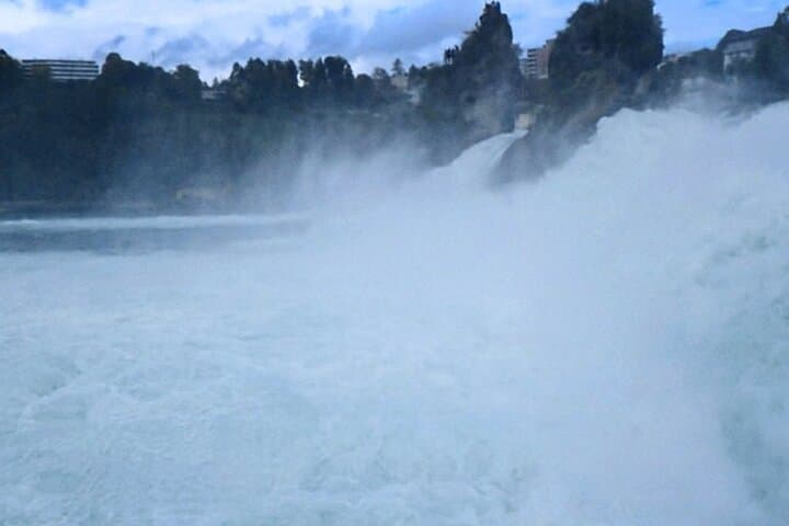 Rhine Falls & Black Forest Private Day Tour from Zurich photo 3