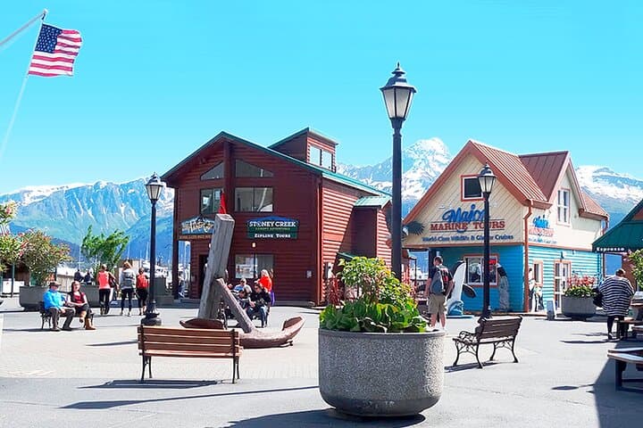 Explore Seward and Exit Glacier: A Compact Alaskan Adventure photo 4