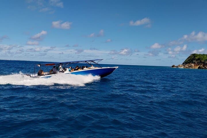 Half-Day Friendly Island Snorkeling Tour — Sint Maarten Underwater Museum & Beach Sights