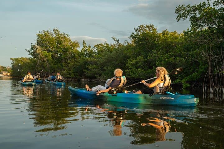 Sunset Kayak Tour in the Mangrove Lagoon, St Thomas — Bird Island Golden Hour Paddle