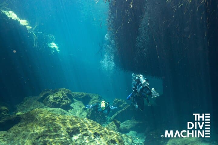 Beginner Scuba Diving in Tulum: Cenote + Caribbean Dives with Dive Machine photo 3