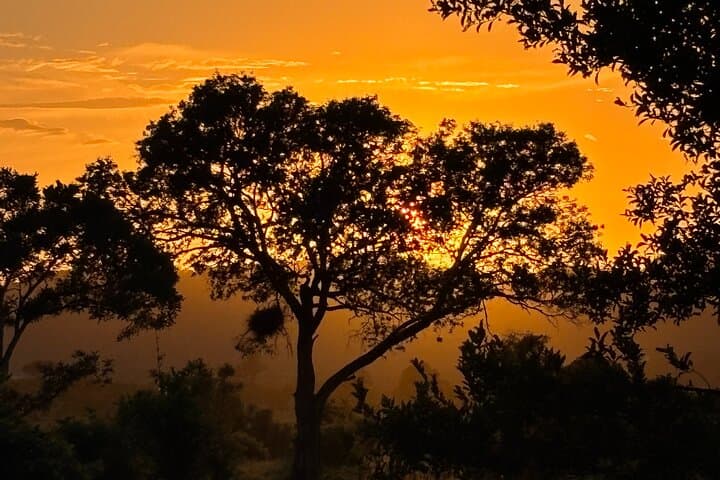 Full-Day Kruger National Park Safari: Big Five Game Drive from Hazyview photo 2