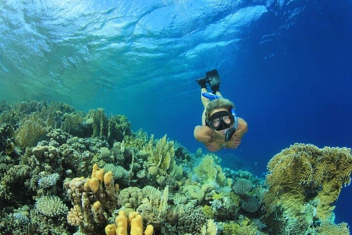 Marsa Mubarak Boat Trip: Snorkel with Turtles & Dugongs from Marsa Alam photo 3