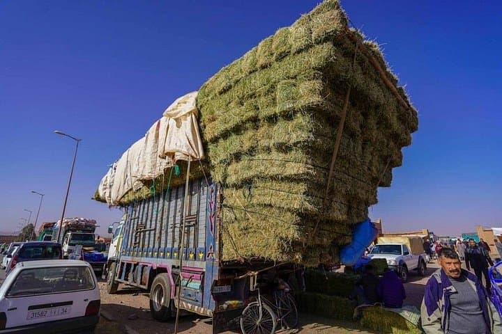 Explore Marrakesh's Weekly Souks: A 4-Hour Market Tour of the Outskirts photo 2