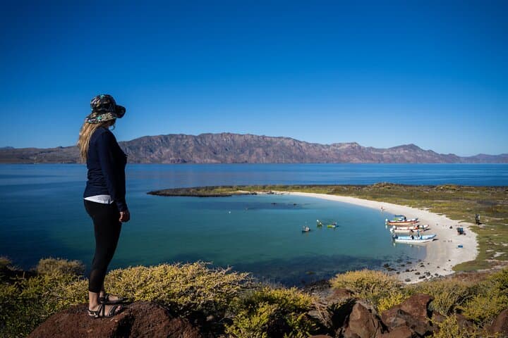 Snorkel Coronado Island — Loreto Bay Marine Park Day Tour