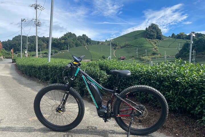 Explore Kyoto by E-Bike: Miyata Ridge Runner Self-Guided Rentals photo 3