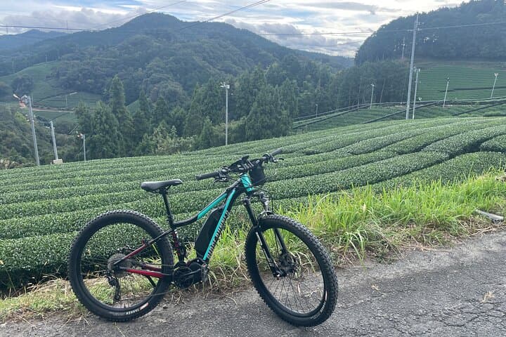 Explore Kyoto by E-Bike: Miyata Ridge Runner Self-Guided Rentals photo 2
