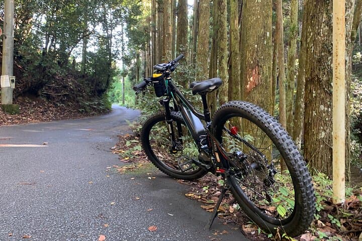 Explore Kyoto by E-Bike: Miyata Ridge Runner Self-Guided Rentals photo 6