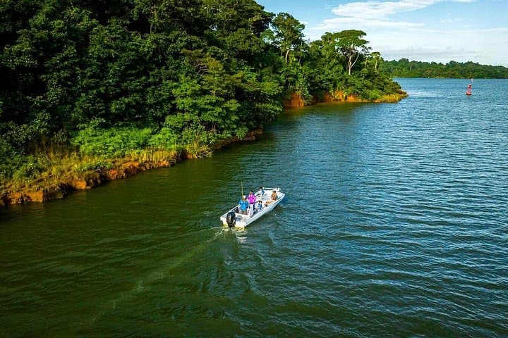 Gatun Lake Birdwatching Boat Tour: Private Chagres River Wildlife Cruise photo 2