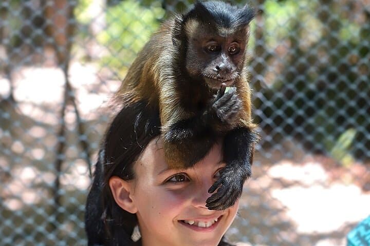 Private Expedition to Cobá Ruins, Monkey Sanctuary & Secret Cenote photo 6