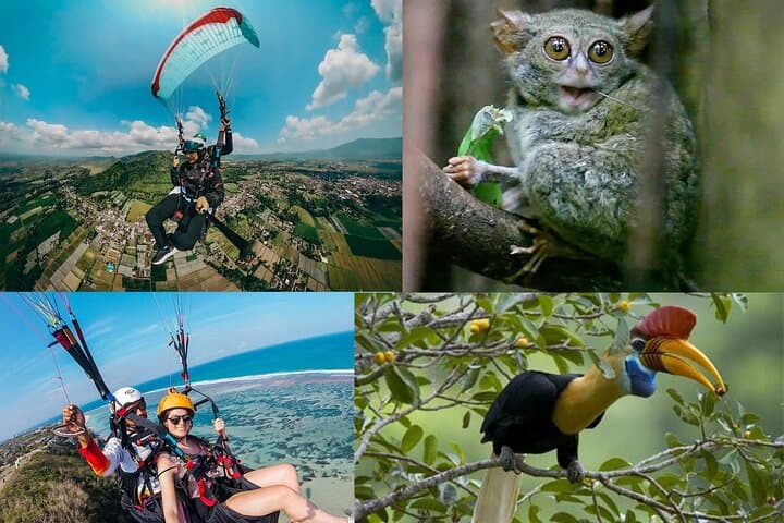 Paragliding Over Manado with Tangkoko Nature Park Visit and Lunch
