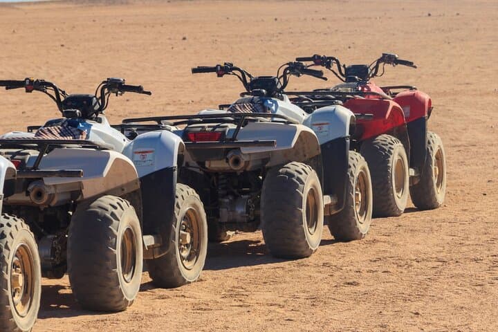 Sharm El Sheikh Desert Quad Safari & Bedouin Camel Ride photo 3