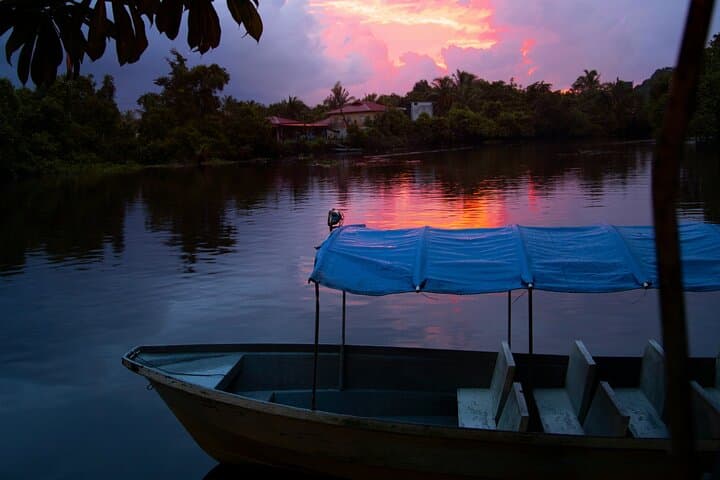Kuala Lumpur to Kuala Selangor Fireflies Tour: Night Mangrove Boat Ride & Seafood Dinner photo 3