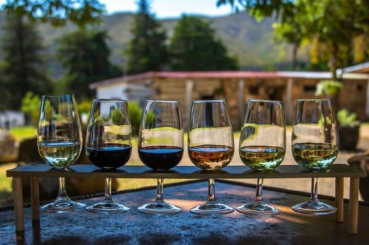 Waipara Wine Trail: Private Group Tour from Christchurch